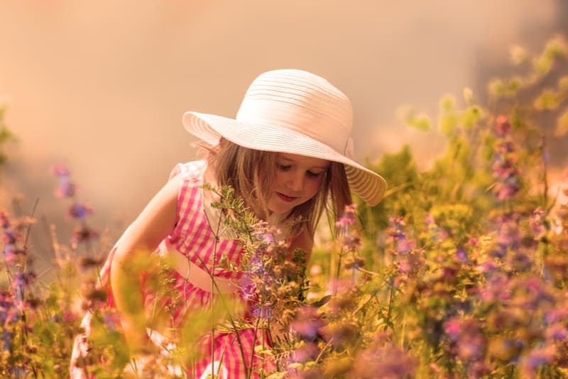 Little girl smelling flowers in the meadow