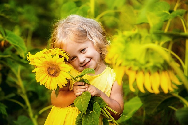 adorable smiling little girl standing in the sunflower field and posing