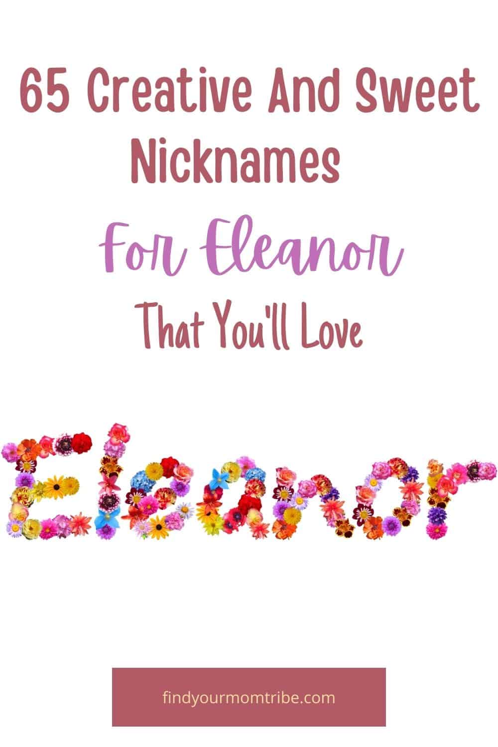 Pinterest nicknames for eleanor 