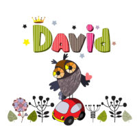 a colorful illustration of the name David with a cartoon owl