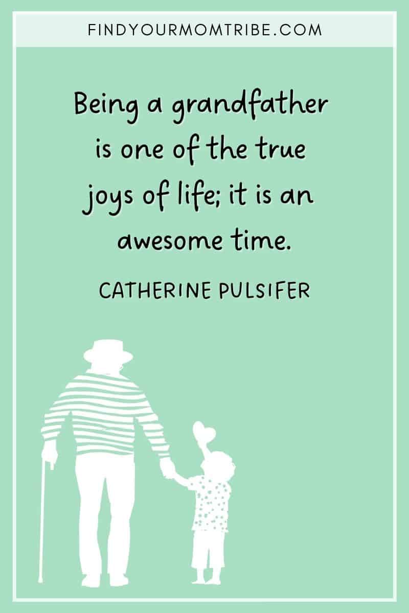 "Being a grandfather is one of the true joys of life; it is an awesome time." – Catherine Pulsifer quote