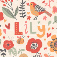colorful illustration of the name Lily
