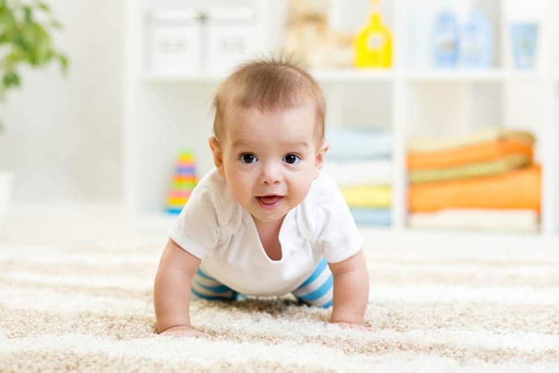 adorable baby boy crawling on the floor