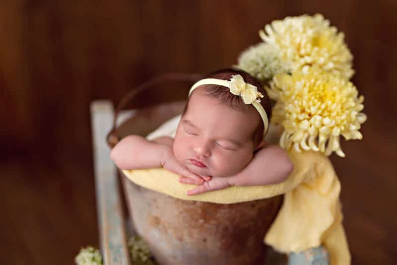 baby sleeps in a bucket of flowers