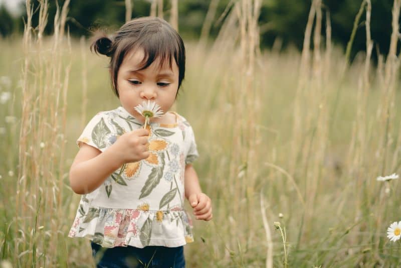 little girl smelling a flower