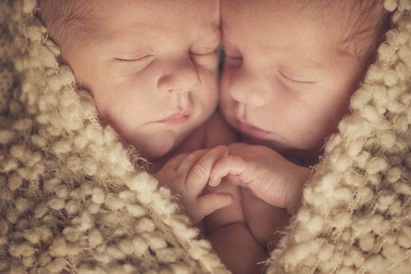newborn twin babies sleeping tight in the blanket