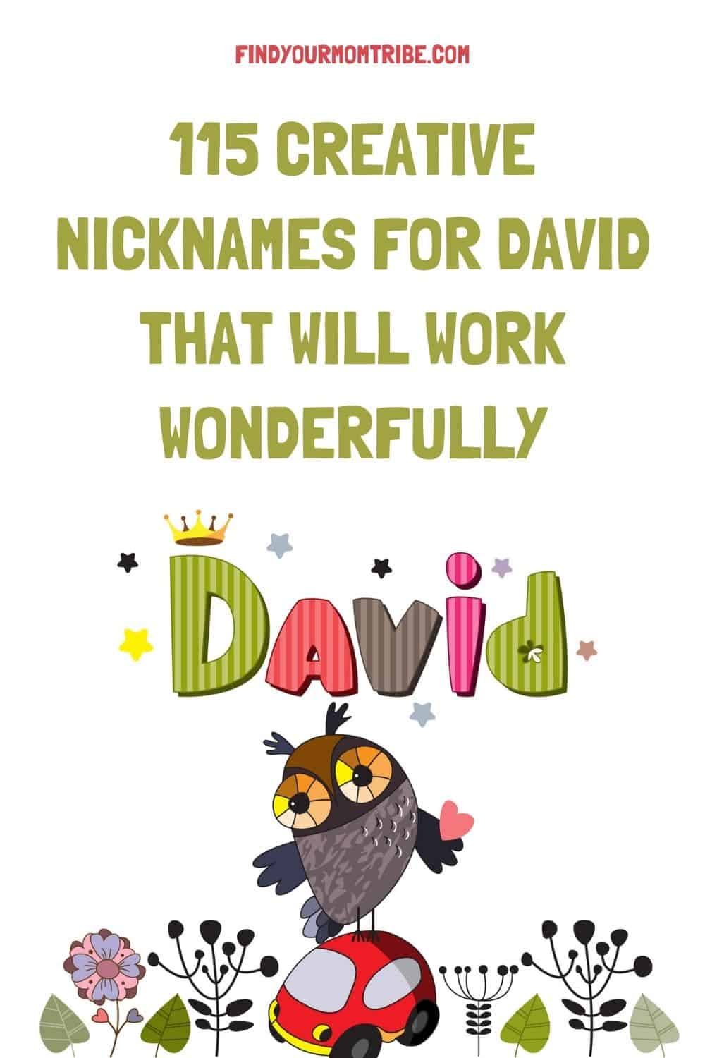 Pinterest nicknames for david 