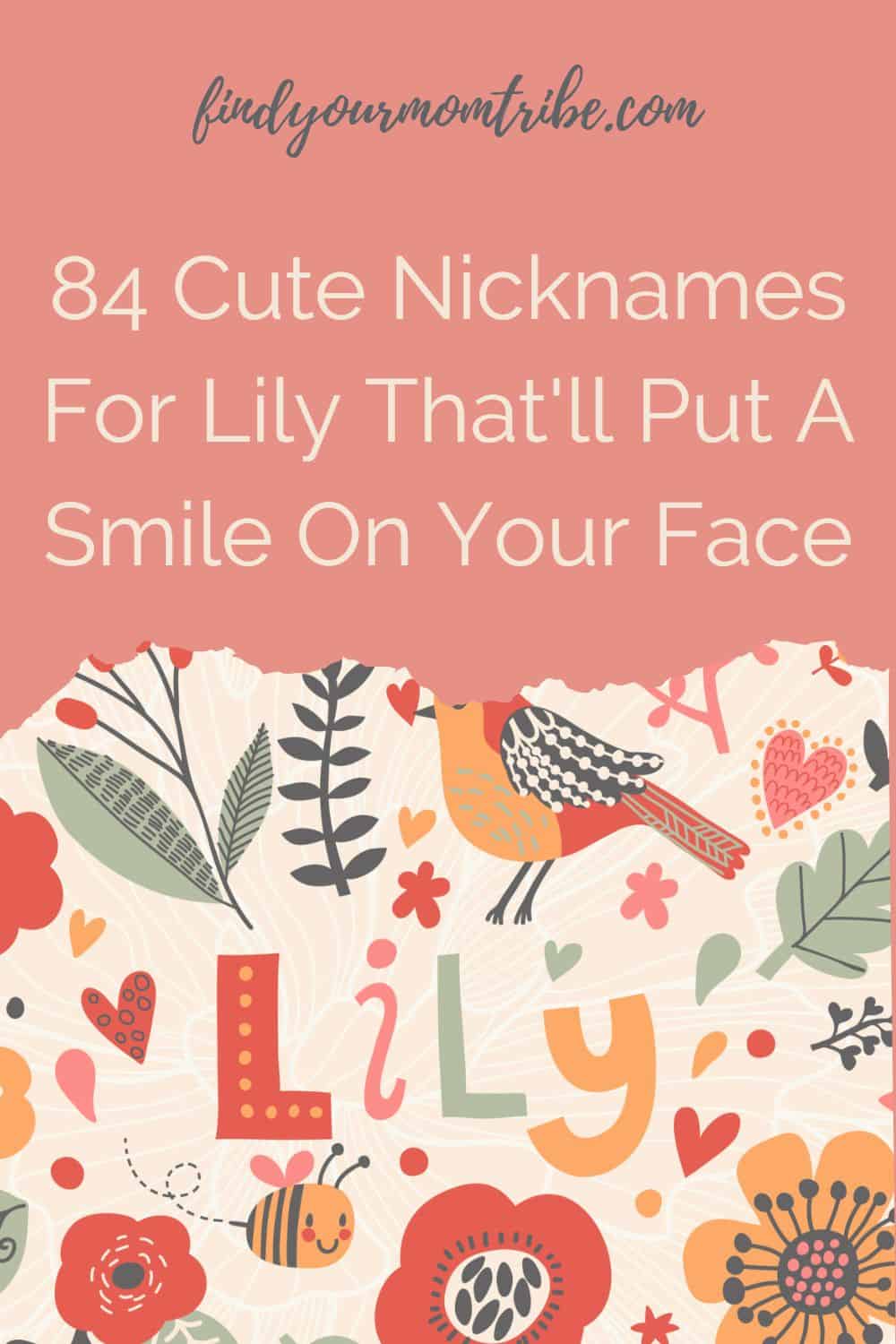 Pinterest nicknames for lily