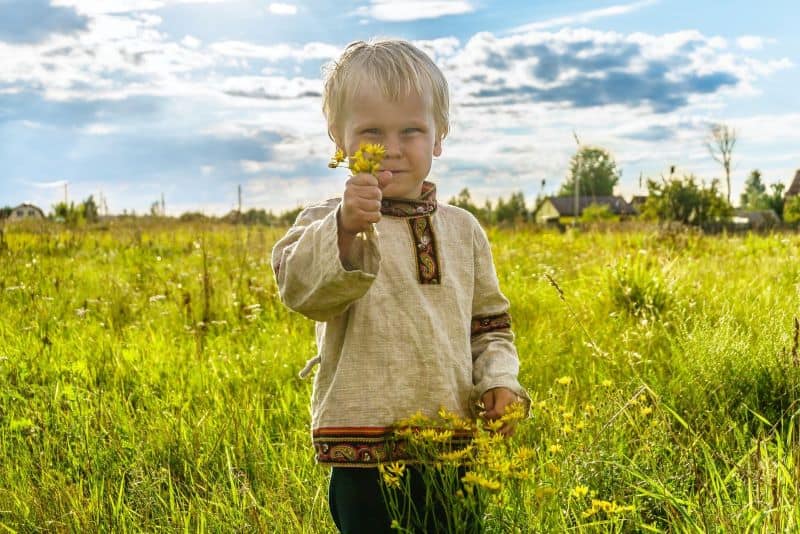 boy picking flowers in a field