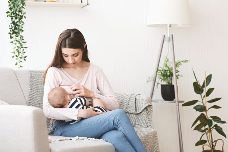 woman breastfeeding on a couch